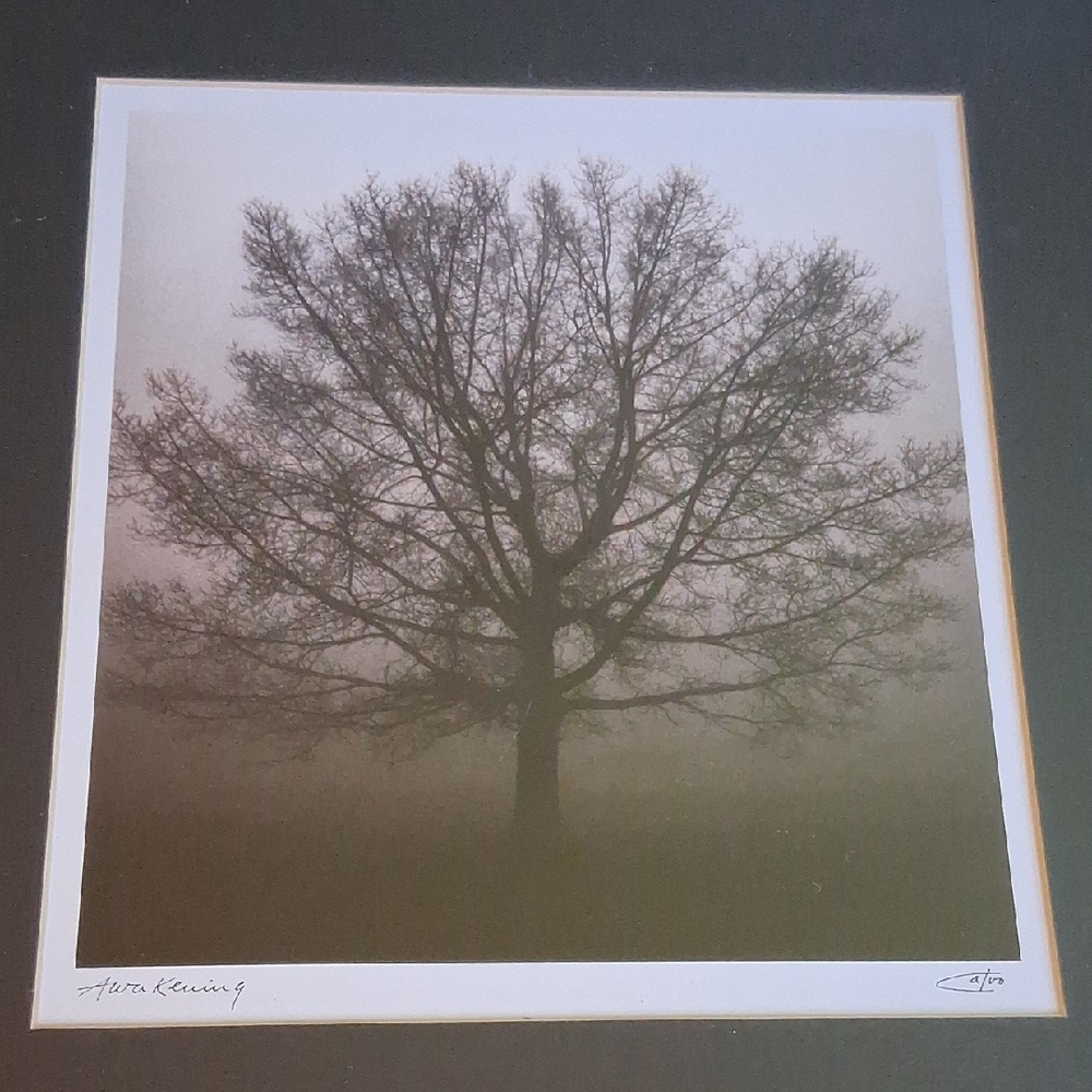 FRAMED PRINT "AWAKENINGS" BY RICHARD CALVO